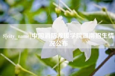 鄂州中国消防救援学院湖南招生情况公布