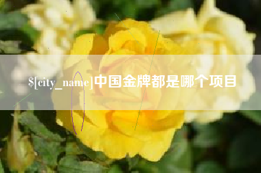 鄂州中国金牌都是哪个项目