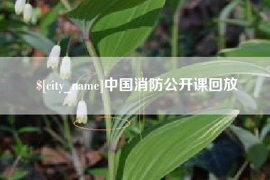 鄂州中国消防公开课回放