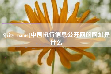 鄂州中国执行信息公开网的网址是什么