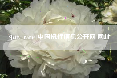 鄂州中国执行信息公开网 网址