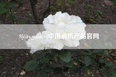 鄂州中国消防产品官网