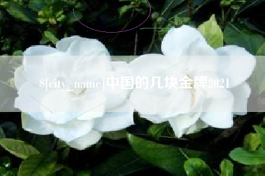 鄂州中国的几块金牌2021