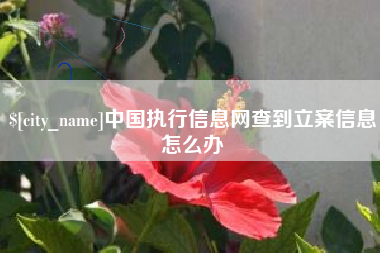 鄂州中国执行信息网查到立案信息怎么办