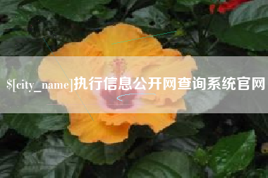 鄂州执行信息公开网查询系统官网
