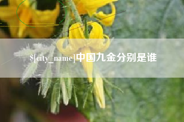 鄂州中国九金分别是谁