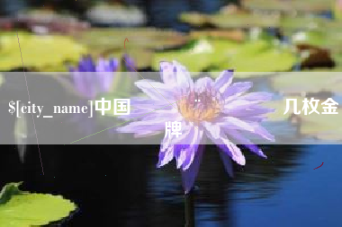 鄂州中国🇨🇳几枚金牌