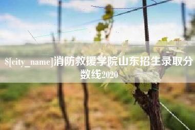 鄂州消防救援学院山东招生录取分数线2020