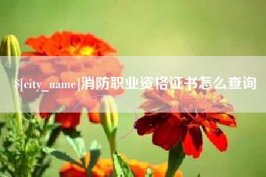 鄂州消防职业资格证书怎么查询