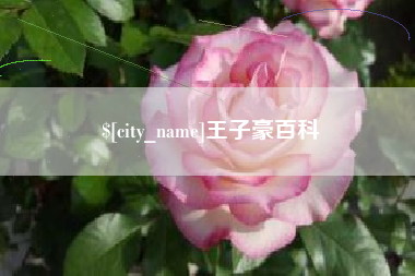 鄂州王子豪百科