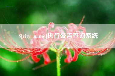 鄂州执行公告查询系统