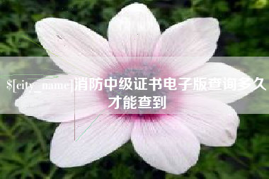 鄂州消防中级证书电子版查询多久才能查到