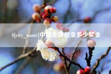 鄂州中国金牌能拿多少奖金