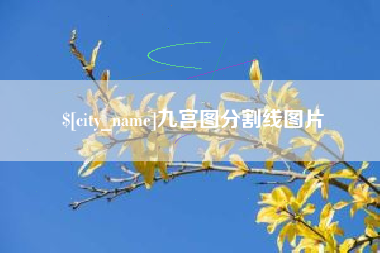 鄂州九宫图分割线图片