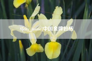 鄂州中国金牌包括