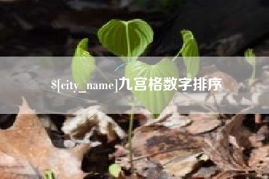 鄂州九宫格数字排序