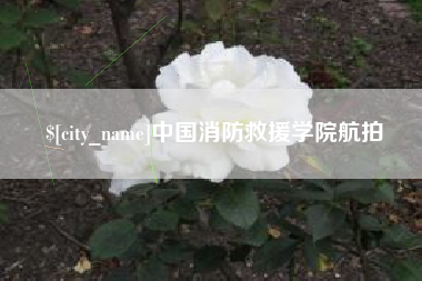 鄂州中国消防救援学院航拍