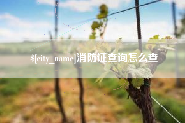 鄂州消防证查询怎么查