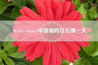 鄂州中国消防日在哪一天