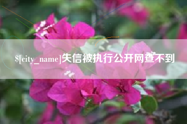 鄂州失信被执行公开网查不到