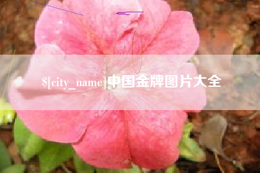鄂州中国金牌图片大全