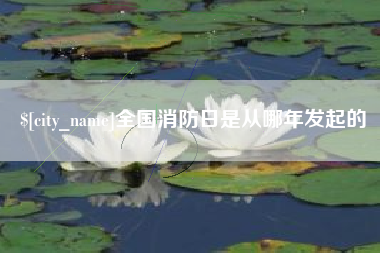 鄂州全国消防日是从哪年发起的