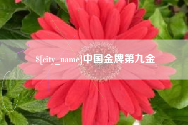 鄂州中国金牌第九金