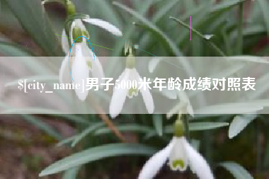 鄂州男子5000米年龄成绩对照表