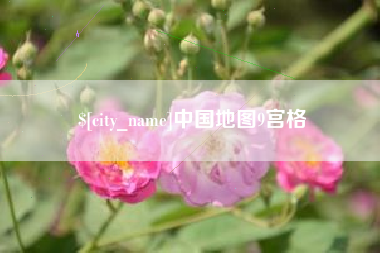 鄂州中国地图9宫格
