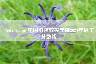 鄂州中国消防救援学院2024年招生分数线