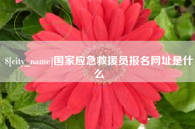 鄂州国家应急救援员报名网址是什么