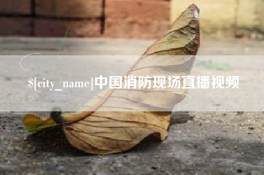 鄂州中国消防现场直播视频