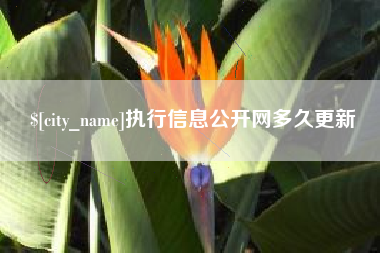 鄂州执行信息公开网多久更新