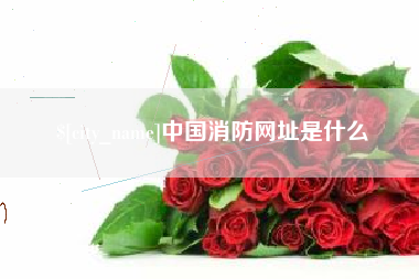 鄂州中国消防网址是什么