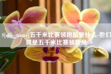 鄂州五千米比赛领跑员是什么-他们就是五千米比赛领跑员