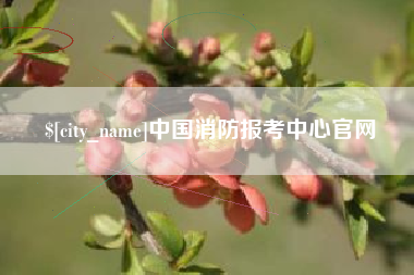 鄂州中国消防报考中心官网