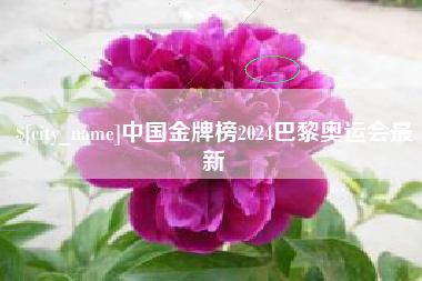 鄂州中国金牌榜2024巴黎奥运会最新