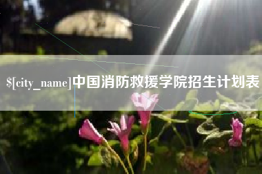 鄂州中国消防救援学院招生计划表
