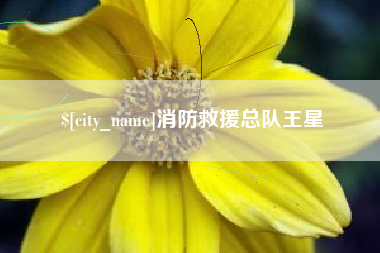 鄂州消防救援总队王星