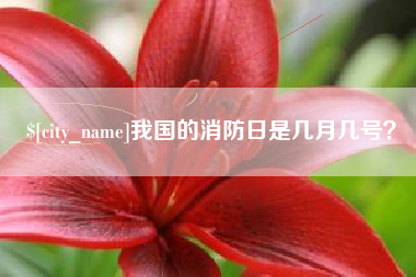鄂州我国的消防日是几月几号？