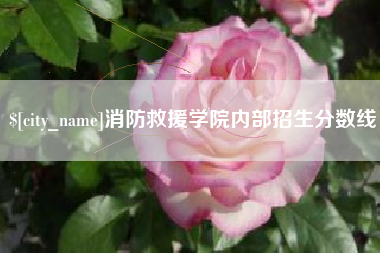 鄂州消防救援学院内部招生分数线