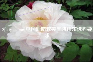 鄂州中国消防救援学院山东选科要求