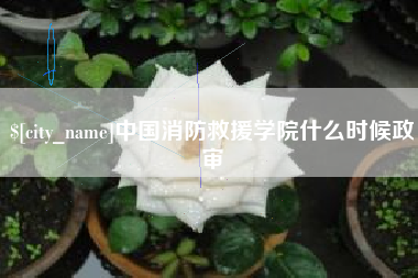 鄂州中国消防救援学院什么时候政审