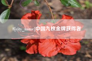鄂州中国九枚金牌获得者