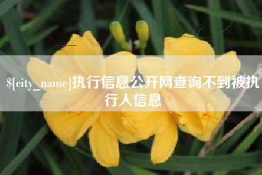 鄂州执行信息公开网查询不到被执行人信息
