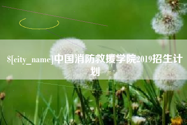 鄂州中国消防救援学院2019招生计划