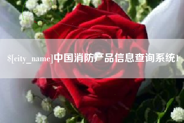 鄂州中国消防产品信息查询系统1