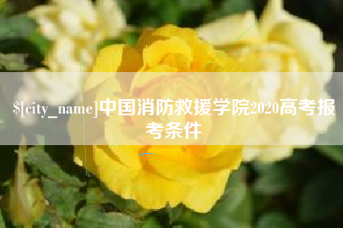 鄂州中国消防救援学院2020高考报考条件