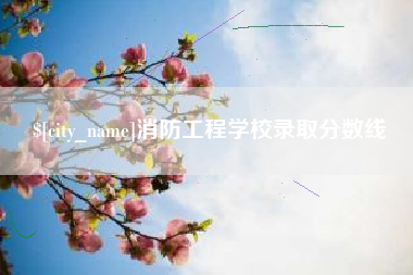 鄂州消防工程学校录取分数线