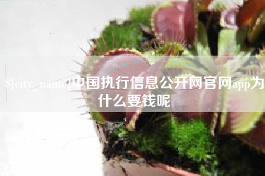 鄂州中国执行信息公开网官网app为什么要钱呢